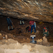 L1013431