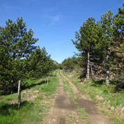 DSC04875