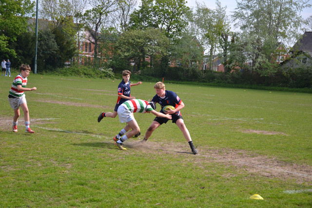 DSC 0240.jpg