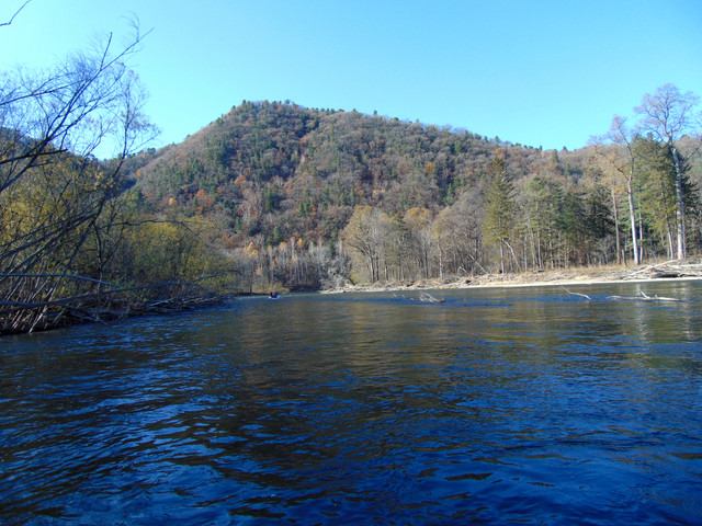 DSC05591.jpg