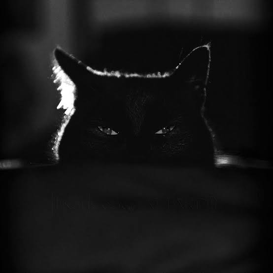 images-3.jpg