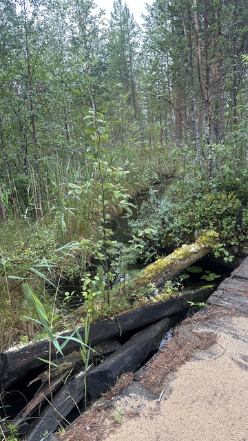 IMG 4651.jpg