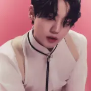 chan a c e 1352728
