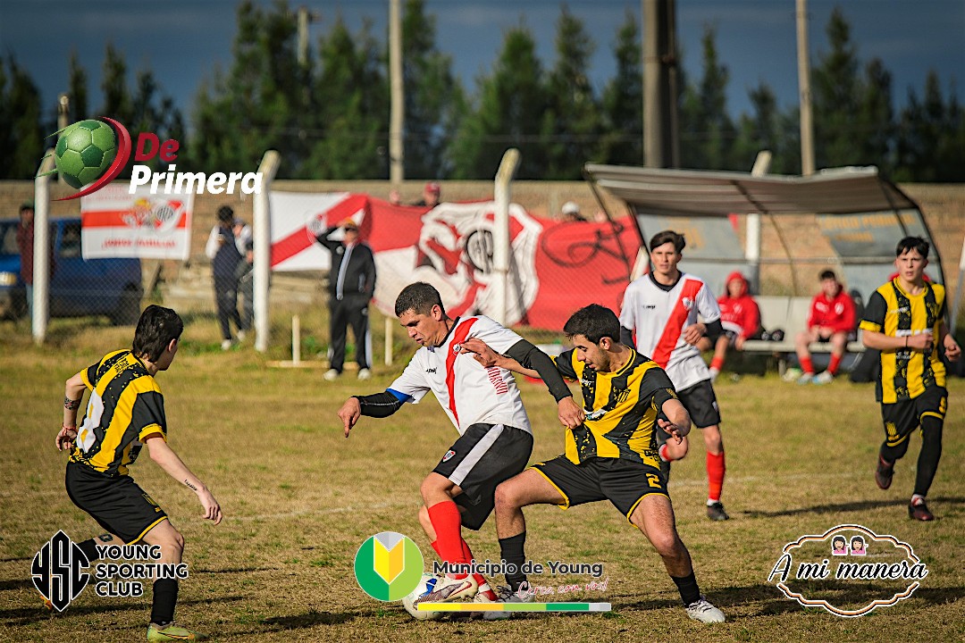 Fecha 5 Absoluta