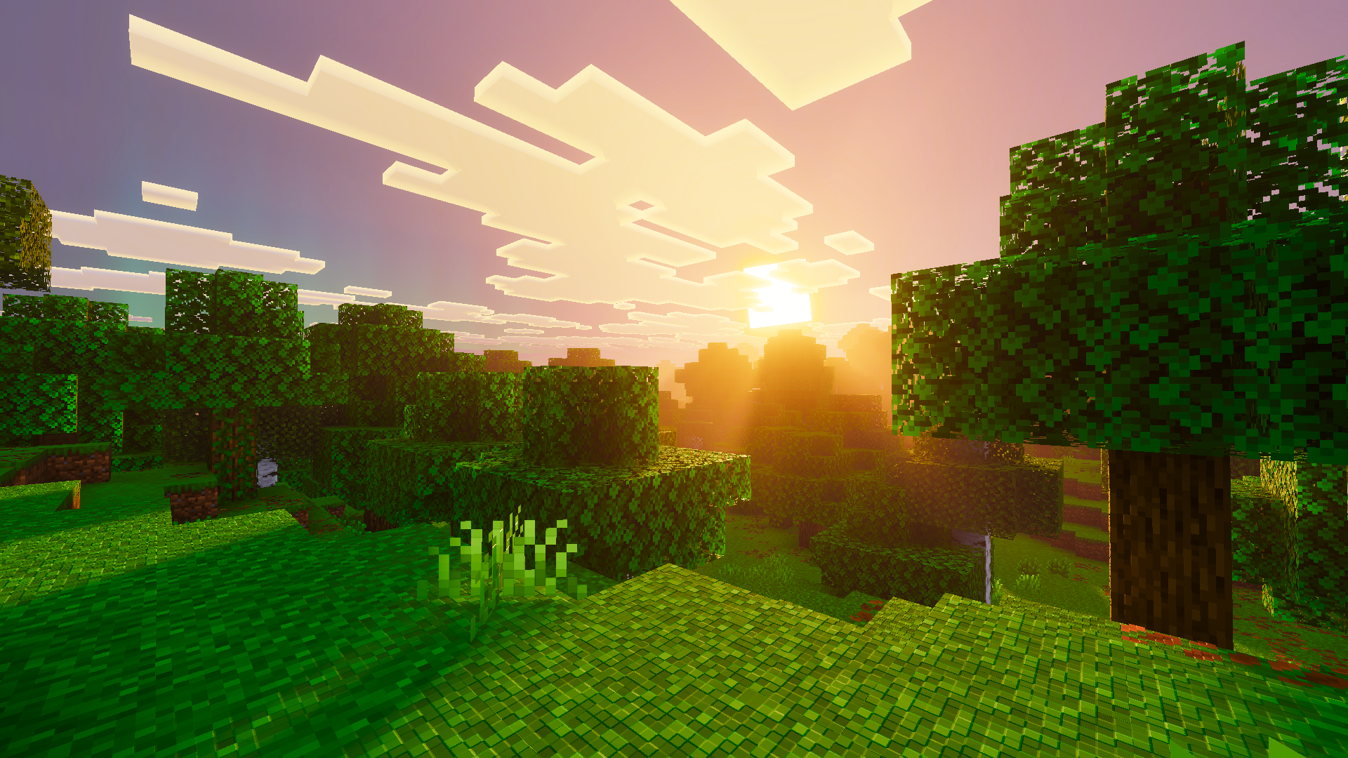 Hilltop Sunset