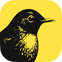 Birch (Formerly Revealbot) logo