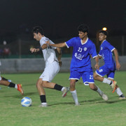 IMG 8657