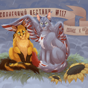 обложка Солнечный вестник117