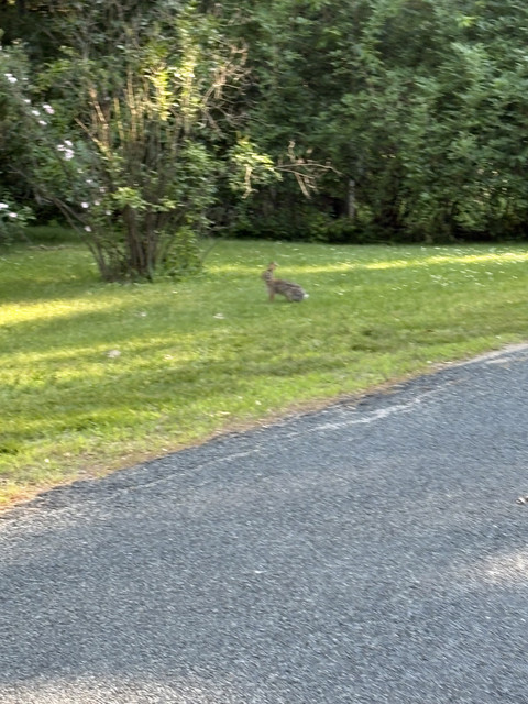 IMG 1944.jpg