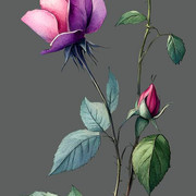 d577c5cbb21820b5eacfd1c815dc2ded