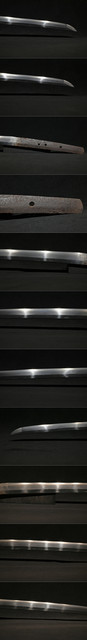 DSC4706