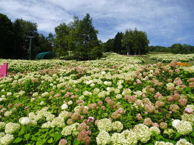 DSC03418.jpg