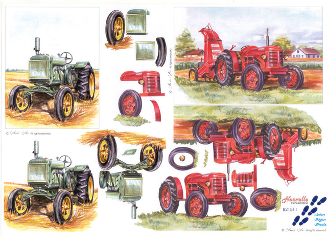 31