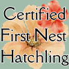 First-Nest-Hatchling-1.png