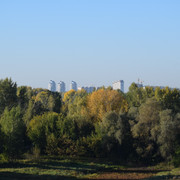 DSC 0006