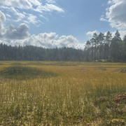 IMG 4575
