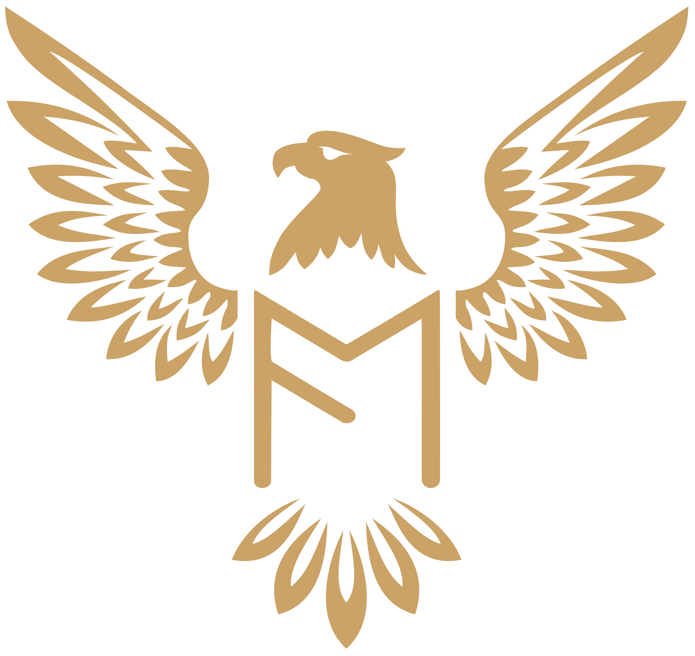 MF-1.webp