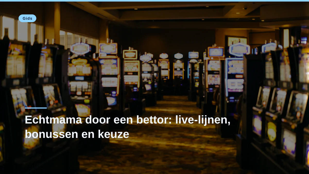 Echtmama door een bettor: live-lijnen, bonussen en keuze