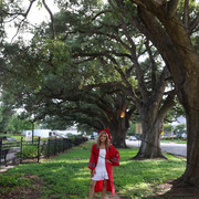 IMG 7595