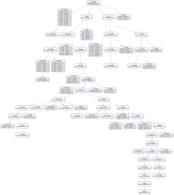 graphviz