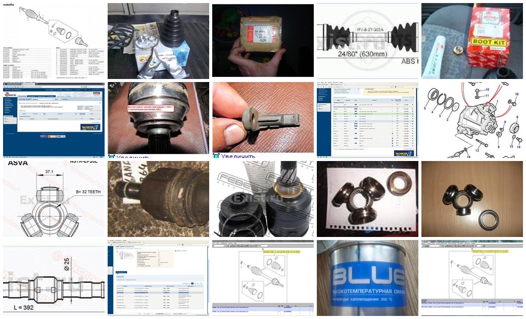 https://i.ibb.co/ksv99gLM/799-collage.jpg