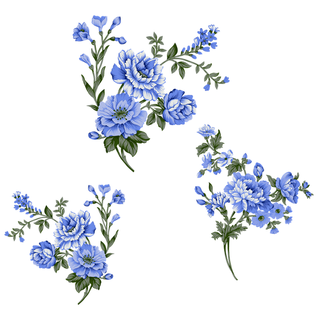 1092bc5b513ce5b5db0dcd476f379.png
