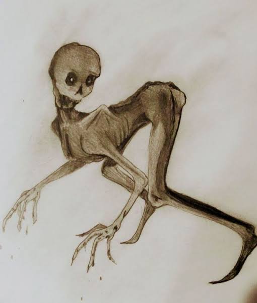 random things to draw