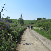 F Shakey Bridge