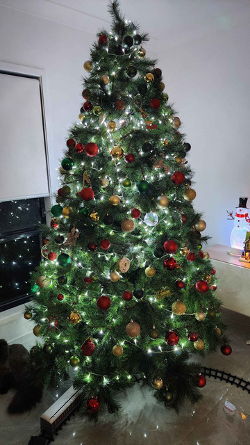 [Image: tree2.jpg]
