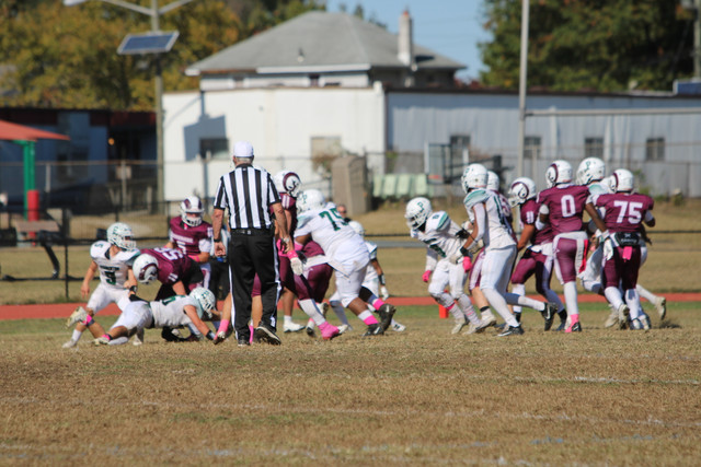 IMG-8098.jpg