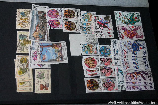 IMG-7029.jpg