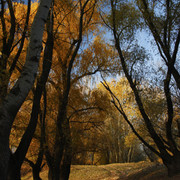100c0100258m