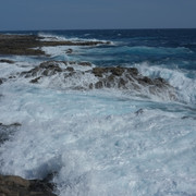 DSCF8211