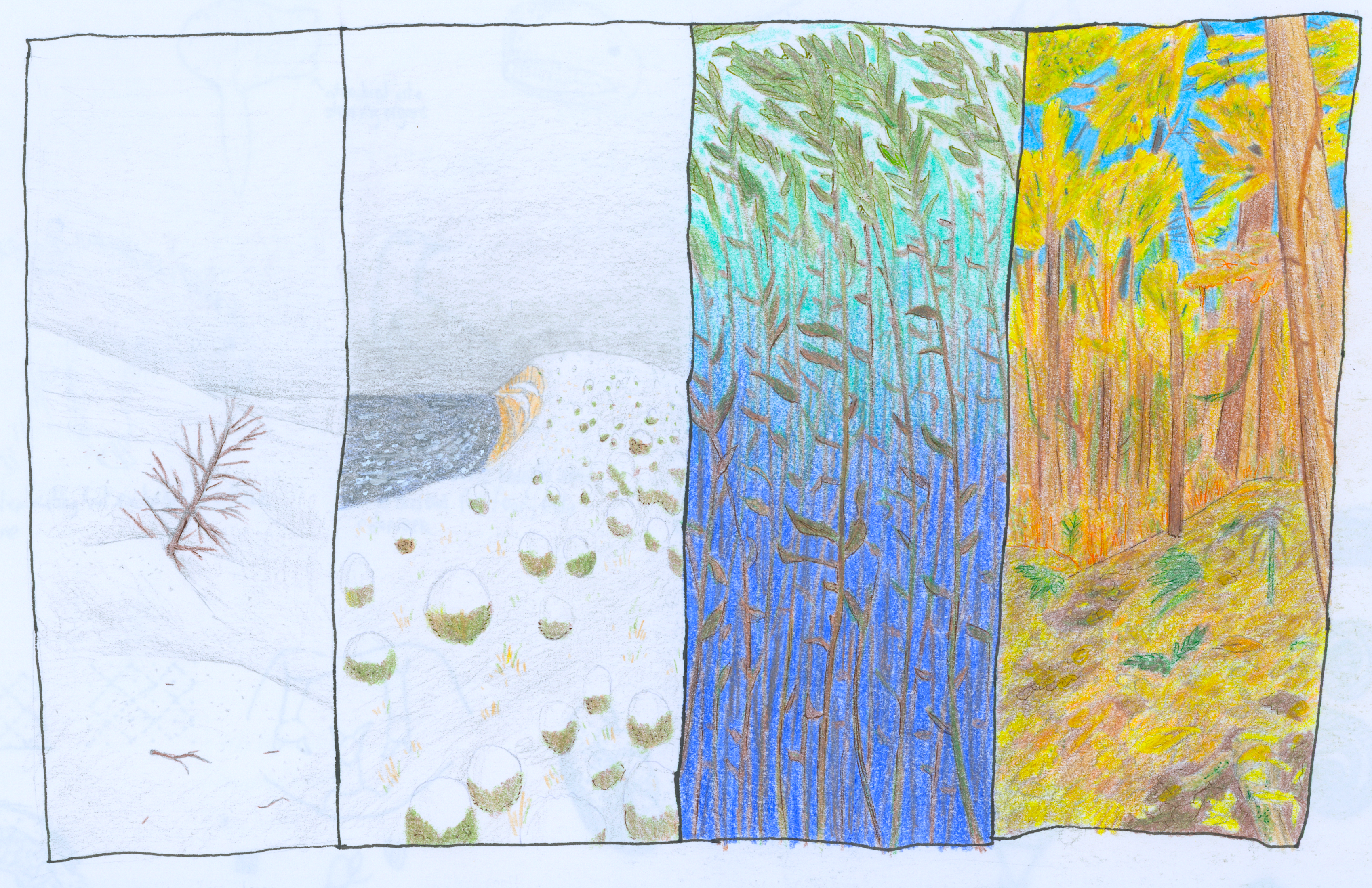 Speculative Evolution -> Cold Earth