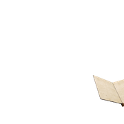 Libro-Abriendose09