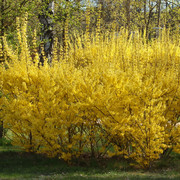 P5041482
