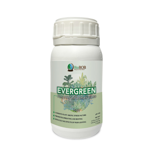 Evergreen-6.jpg
