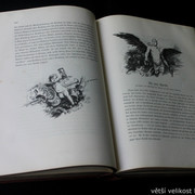 IMG-6404