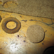 IMG-3381