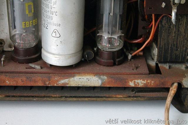 IMG-5854.jpg