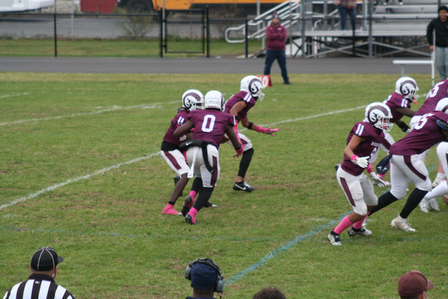 IMG-0388.jpg