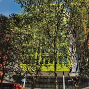 IMGP8782