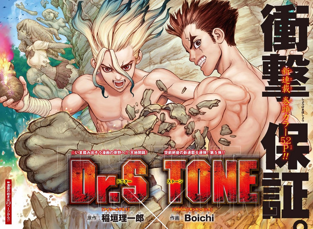 drstone