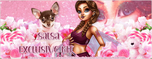 Salsa-BCA23-Coupon-Exclusive-Kit.png