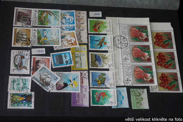 IMG-2583.jpg