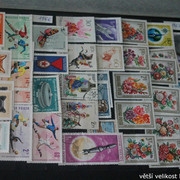 IMG-3244