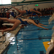 IMG-0117