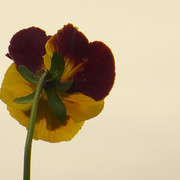 DSC00858