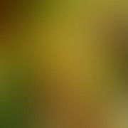 Pepsized-Blur-96