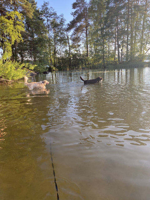 AE4-CF3-D3-C58-C-4622-B35-B-6-BC7-BE5-B9